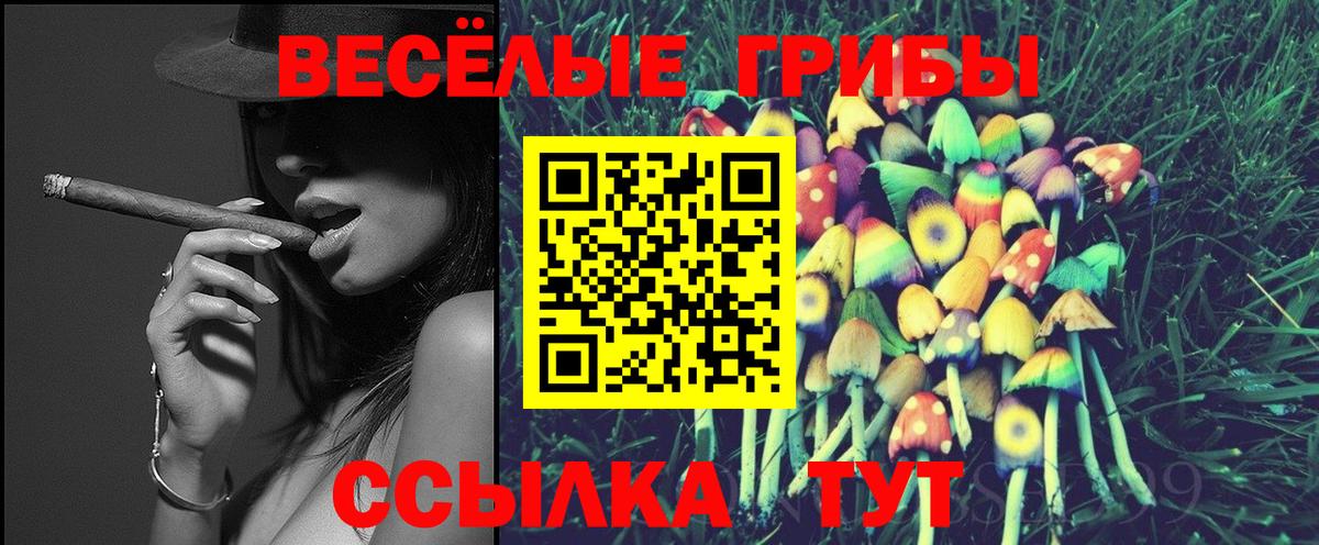 Мытищи  Галлюциногенные грибы Cubensis  Вход с VPN  купить  сайты  Псилоцибиновые грибы мухоморы 